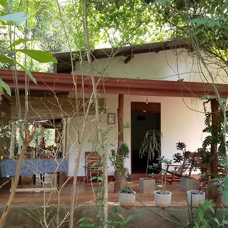 Thilina Homestay Sigiriya Værelse billede